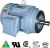 Hyundai Premium Efficiency Motors: C-Face, Hyundai C-Face: Round Body -- HHI200-18-447TCRD