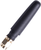 AEAC Whip - Straight -- AEACAC053010-S433 - Image