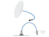Antennas - CFSA69594P-30D43F - TE Connectivity