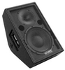 Compact 2-way, 10-in stage monitor/PA - SM109z - Visual Sound, Inc.