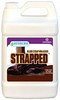 Strapped, 1 gal -- BCNSBSMGAL