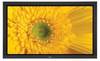 Professional 42-Inch XGA Plasma - P42XP10 - Visual Sound, Inc.