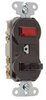 Combination Switch/Pilot Light -- 695