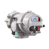 Electric Intelligent Actuators, IQT3 Pro - Image
