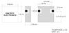 947.5 Ceramic Mono Block Bandpass Filter - AE947CB12139 - Anatech Electronics, Inc.