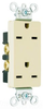 Duplex/Single Receptacle -- 26652-I - Image