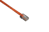 2FT Orange CAT5e 350MHz Patch Cable UTP CM No Boot - EVNSL59-0002 - Black Box