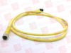 QD Cable/Cord Set - 62986122 - Radwell International