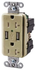 Combination Switch/Receptacle -- USB20X2I - Image