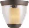 Flush Mounts-Bowl Style - 66895 - Light Center (The)