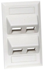 Datacommunication Face Plate -- AFP14W - Image