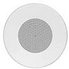 Grille-8in Speaker, Steel, Torsion Mount, 12.875in Dia, White - WB-8T - Visual Sound, Inc.