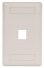 Datacommunication Face Plate - IFP11AL - Hubbell Incorporated
