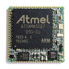 Embedded - Microcontroller, Microprocessor, FPGA Modules - DAB-002002 - Lingto Electronic Limited