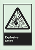 Glow-In-The-Dark Safety Sign - 90710 - Brady Corporation