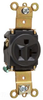 Duplex/Single Receptacle -- 5361-BK - Image