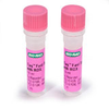 iTaq Fast Supermix With ROX - 172-5105 - Bio-Rad Laboratories, Inc.
