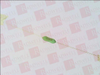 Fuse - 21605932 - Radwell International