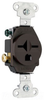 Duplex/Single Receptacle -- 5651 - Image