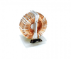 Common Mode Chokes - PA4415NL - Pulse Electronics Corporation