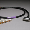 CANARE 8CH DB25 Audio Snake Cable 25-PIN TO RCA 20ft - 20DA88202-DB25RCA-020 - HAVE, Inc.