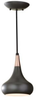 Pendant Light Fixture - P1254DBZ - Generation Brands