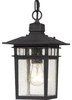 60-4956 Exterior -Hanging - 309317 - Capital Lighting, Inc.