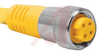 Cordset; 3-Wire; 7/8-16; Minifast, Straight; Female; 2 meter - 70034347 - Allied Electronics, Inc.