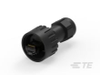 RJ45 Connectors -- 1546440-1