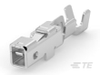Connector Contacts - 2415838-1 - TE Connectivity