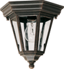 Exterior -Ceiling Mount - 85642 - Light Center (The)