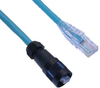 Ethernet, Cordset, 8 Pole, E45V3 Male Straight / RJ45 Plug Male Straight, 2M, Gray, PVC -- E45V3-8MP-RJ45-2M - Image
