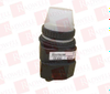 Pilot Light - 4725526 - Radwell International