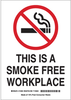 Eco-Friendly No Smoking Sign - 115931 - Brady Corporation