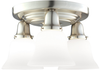 587-SN-341 Flush Mounts-Other - 608680 - Capital Lighting, Inc.
