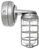 Vaporproof Fluorescent Fixture with Globe and Guard - VXBR2F42S - RAB Lighting