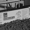Rigid Extruded Polystyrene (XPS) Foam Insulation