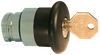 Push Buttons/ 22mm Non-Illuminated Mushroom Metal Operators - 2AMLKB2 - Altech Corp.