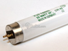 25 Watt, 36" T8 Bright White Fluorescent Bulb - U3000266 - bulbs.com