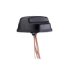 RF Antennas - GL125-DLTEMIMO - Quarktwin Technology Ltd.