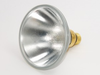75 Watt, 130 Volt Halogen PAR38 Spot - FAN3045 - bulbs.com