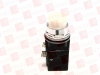 Pilot Light - 132005645 - Radwell International