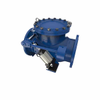 APCO Swing Check Valves (CVS-EDV)