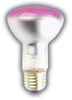 50R20/FL/PINK - SUPERIOR LIFE&reg; - 81683 - Premium Quality Lighting