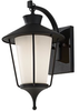 Light Outdoor Lantern -- OL8400TXB
