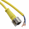 Circular Cable Assemblies - WM16460-ND - DigiKey