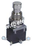 Push-Button Switch -- PBS-24-202 ON-ON