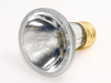 50 Watt, 130 Volt Halogen PAR20 Spot. - FAN3099 - bulbs.com