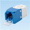 Modular Connectors / Ethernet Connectors - CJD688TGBU - VAST STOCK CO., LIMITED