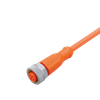 Connecting cable with socket - EVW130 - ifm electronic gmbh